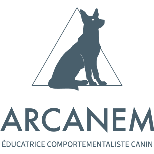 Arcanem 